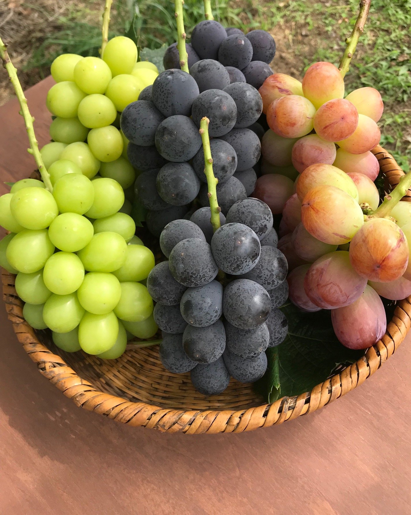 ぶどうの販売について