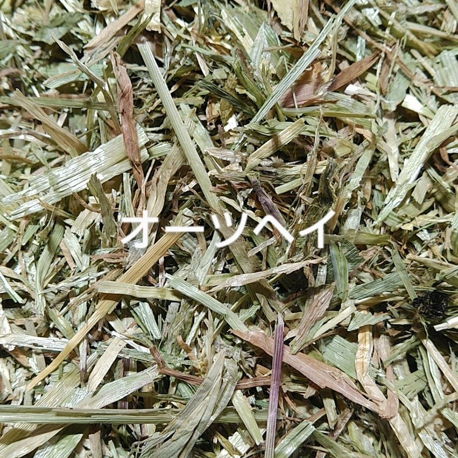 5f4dd5ffafaa9d39841be7fc