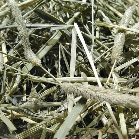 外国産お試しパック（外国産牧草5種250g）【送料込み】