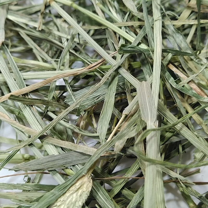 US産チモシー ダブルプレス 2番刈り（1kg～5kg) | うりんこファーム