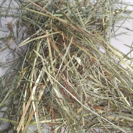 外国産お試しパック（外国産牧草5種250g）【送料込み】