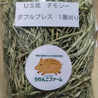 ＜ハイクオリティー＞US産チモシー ダブルプレス 1番刈り（500g）