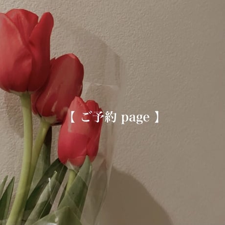 【御予約】miiira3さま