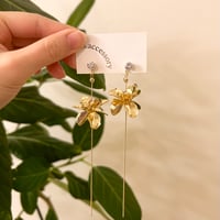 🌸no.55