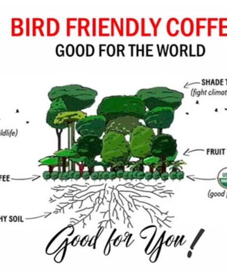 フレンチロースト（コロンビア　メサデ サントス農園　JAS Organic 、Bird Friendly ）  200g
