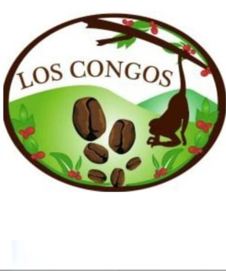 ニカラグア  ロス  コンゴス農園 パカマラ種　ナチュラル製法　200g
