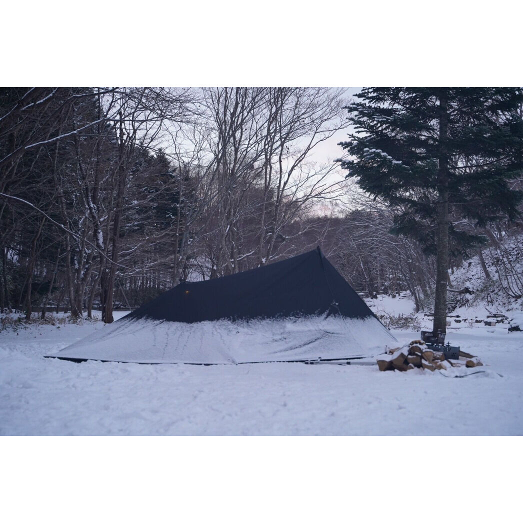 【新品未使用】tarptotarp 5周年グラスと5周年kozara 新品未使用】tarptotarp 5周年グラスと5周年kozara