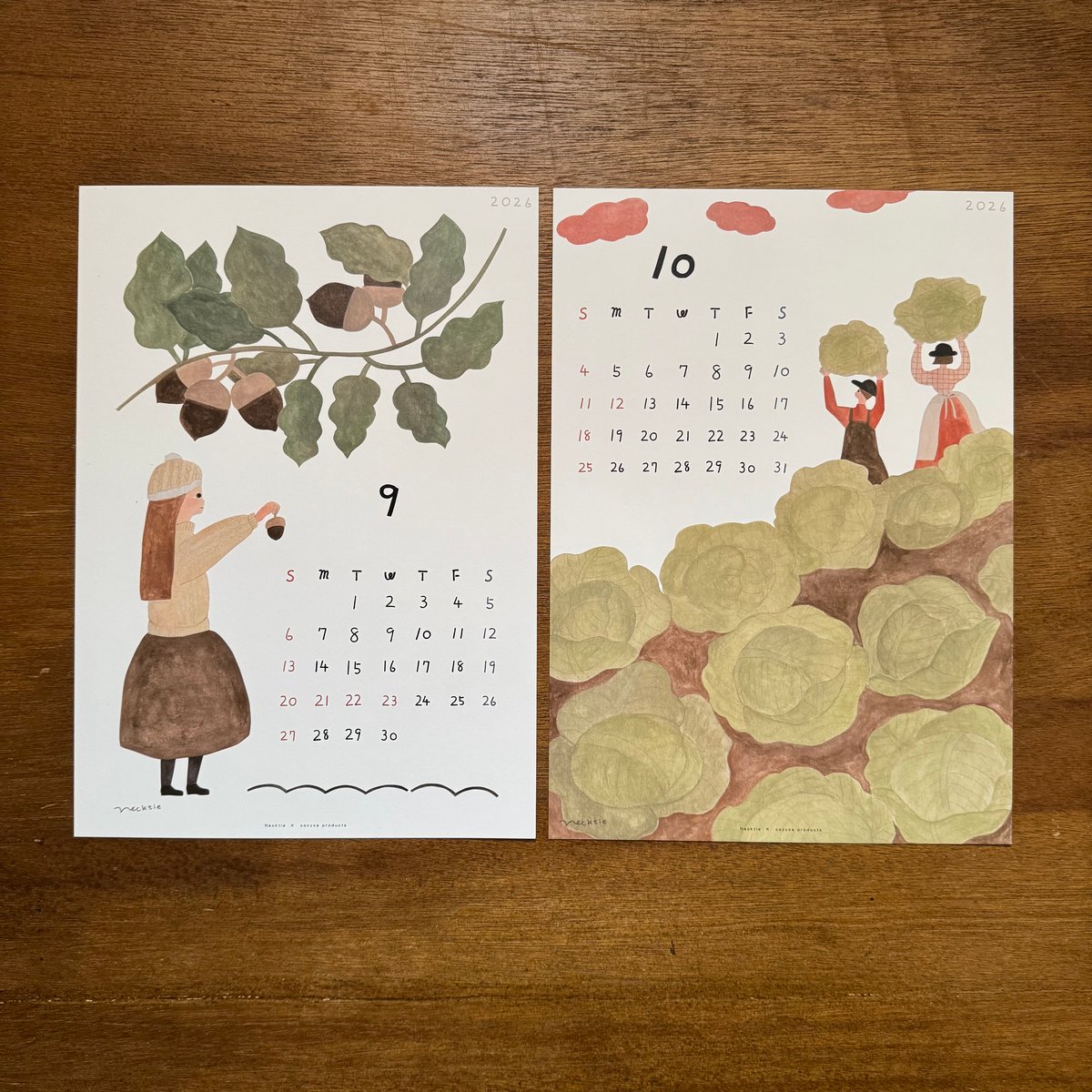 cozyca products 2026カレンダー | ネクタイウェブショップ