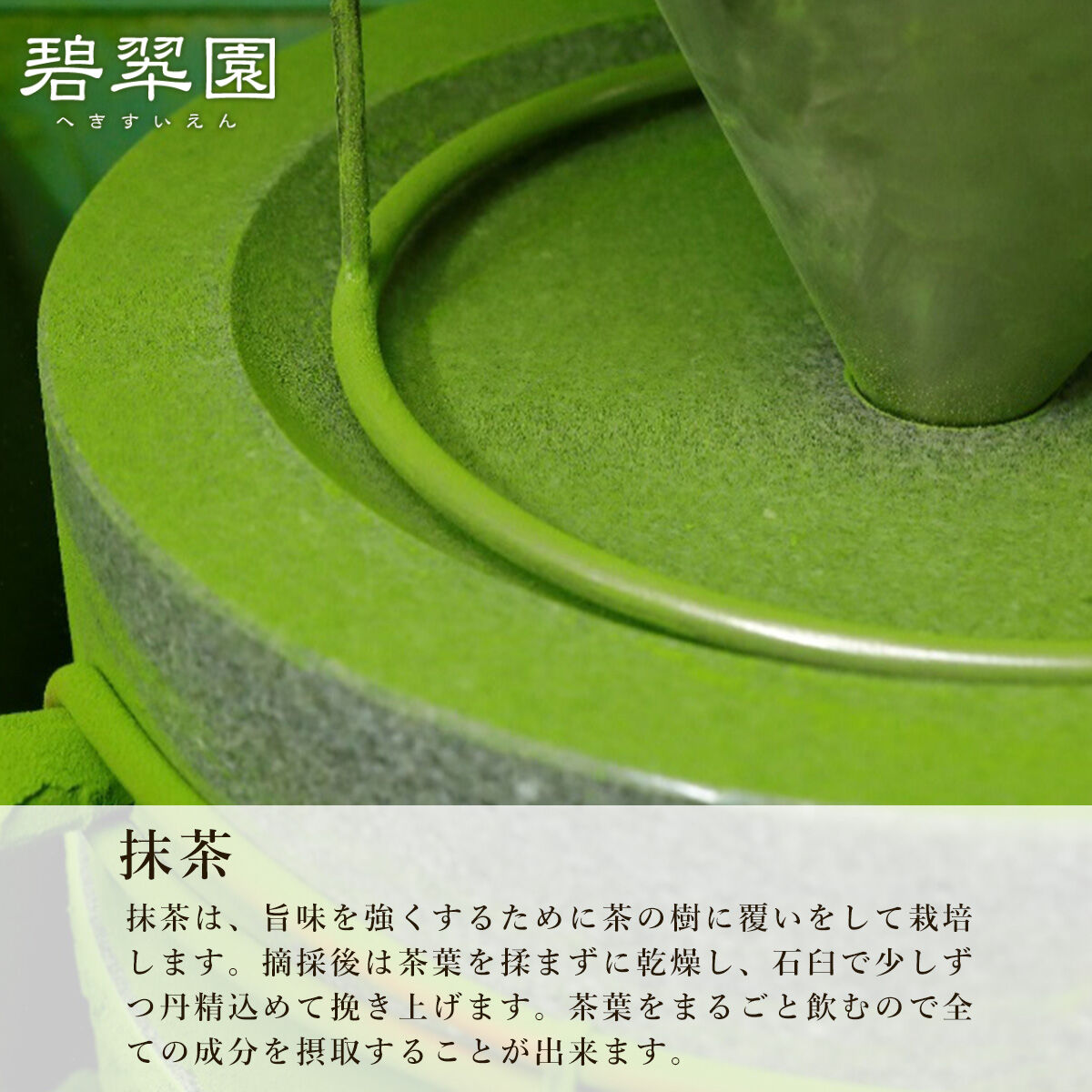 裏千家今日庵鵬雲斎宗匠御好 瑞世の昔 30g | 碧翆園オンラインショップ