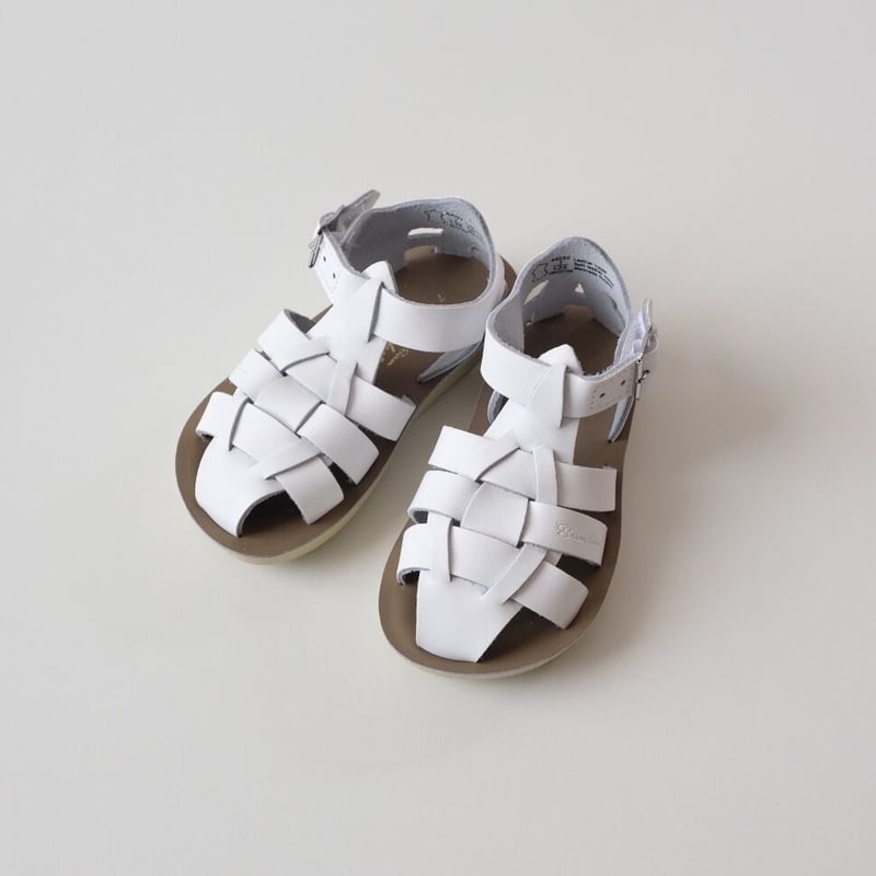 サンダル Salt-Water Sandals Shark Latte 18cm Shark Latte (Kids