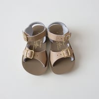 Salt-Water SANDALS SURFER Latte(CH6(14cm)CH7(15cm)CH11(18cm)CH12(19cm))
