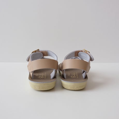 Salt-Water SANDALS SURFER Latte(CH6(14cm)～YTH3(22cm))