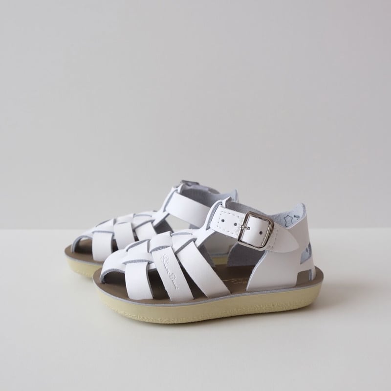 【試着のみ未使用品】saltwater shark サイズ8 Salt Water Sandals ソルトウォーター SHARK