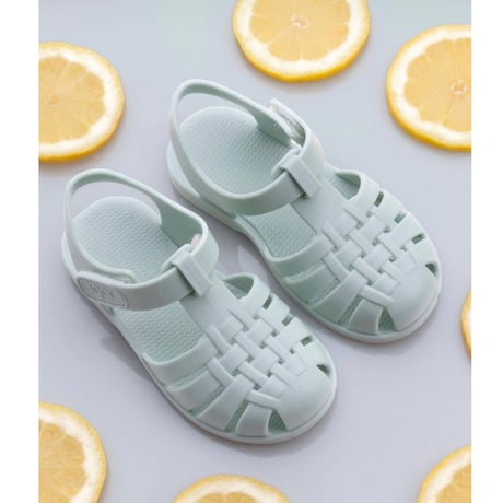 26(16cm)ラスト1点 igor CLASICA V. MENTA