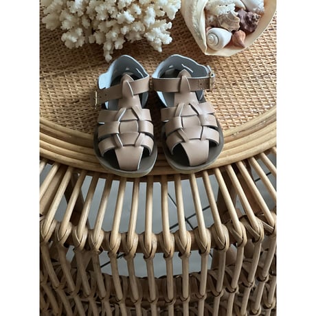 Salt-Water SANDALS SHARK Latte(CH8(15.5cm))