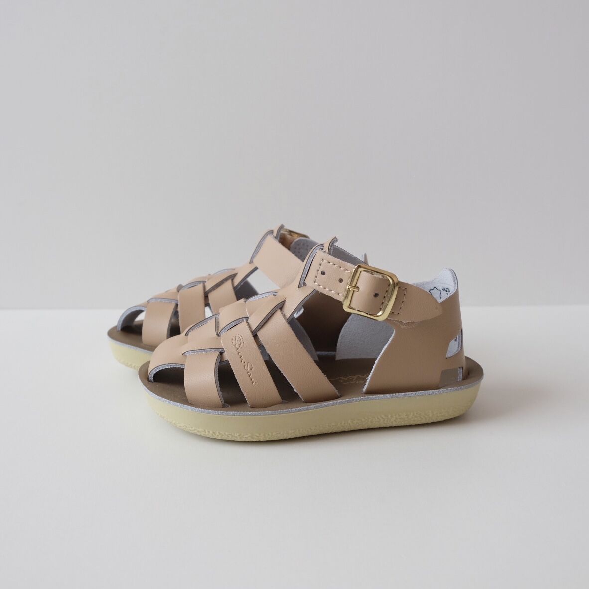 Salt-Water SANDALS SHARK Latte(CH8(15.5cm)) | U