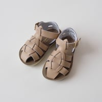 Salt-Water SANDALS SHARK Latte(CH8(15.5cm))