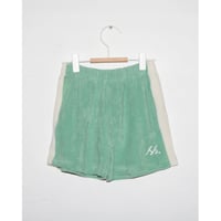 SUMMER & STORM TERRY PANEL SHORT - GREEN
