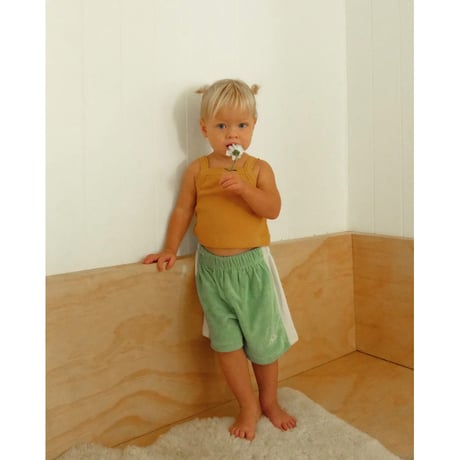 SUMMER & STORM TERRY PANEL SHORT - GREEN