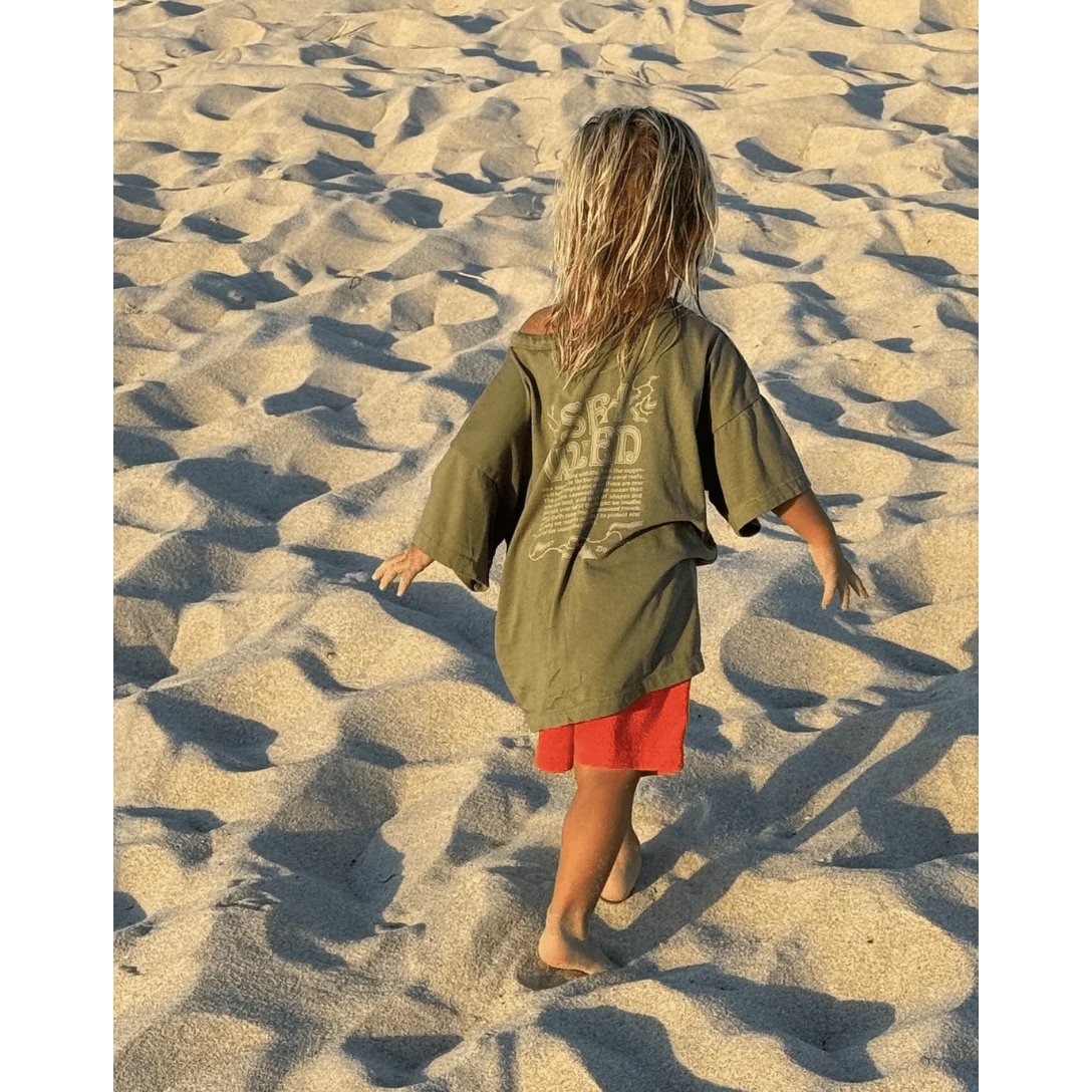 30%OFF 18-24Mラスト1点 ZIGGY ZAZA seaweed tee kelp