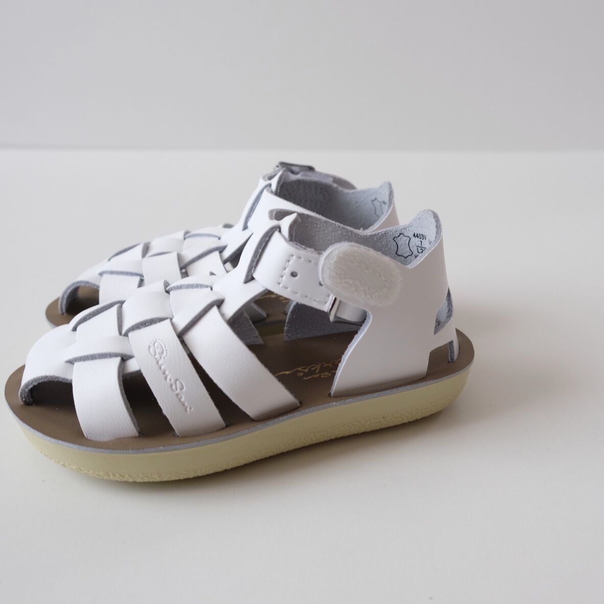 Salt-Water SANDALS SHARK White(CH5(13cm)CH6(14c