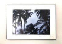 そよん生産限定直筆サイン入りA2写真パネル 写真パネル＜投網の風景＞直筆サイン付き 限定50枚 | Sadao