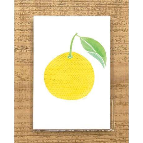 FRUITS CARD SET