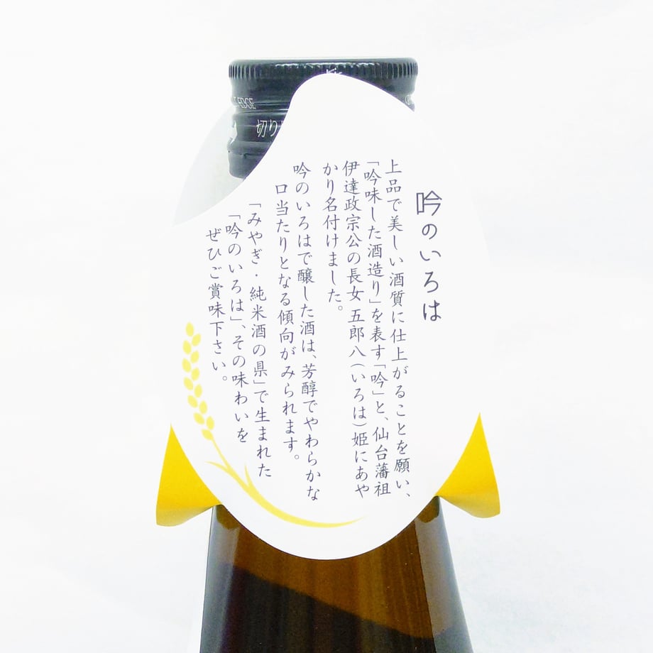 6465fcd9835a67002a9583ab