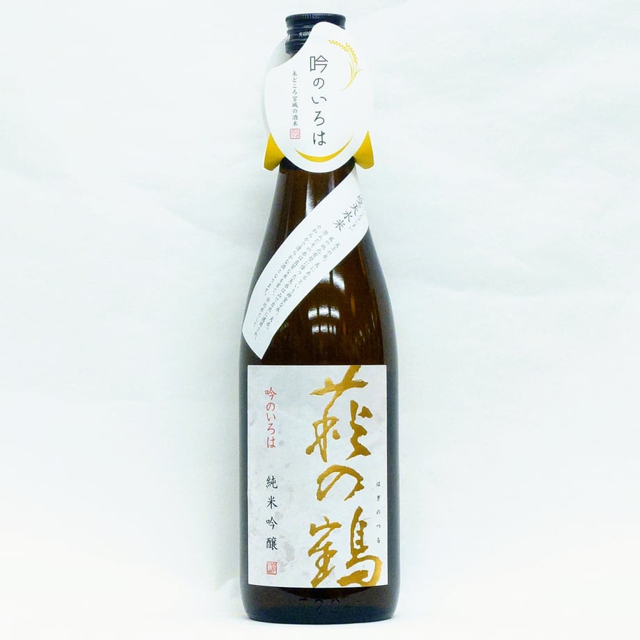 6465fcd9835a67002a9583ab