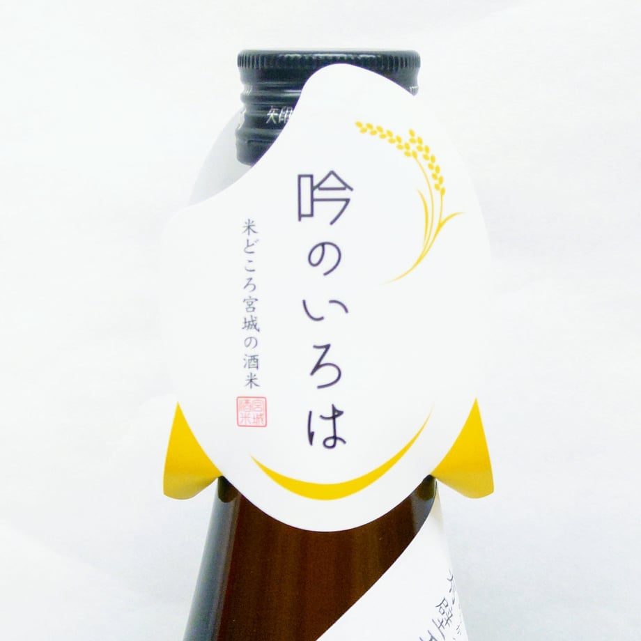 6465fcd9835a67002a9583ab