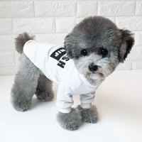 <秋冬新作>　CHERISH  tops　S / Ｍ  / L  / XL / XXL