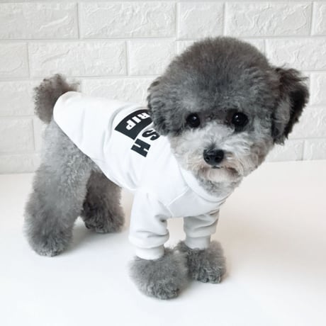 <秋冬新作>　CHERISH  tops　S / Ｍ  / L  / XL / XXL