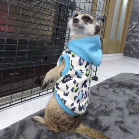 【ミーアキャット用】ネオンヒョウ柄パーカー