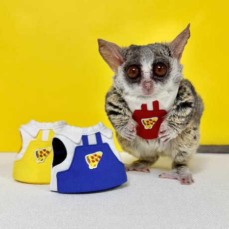 CATEGORY ハーネス 