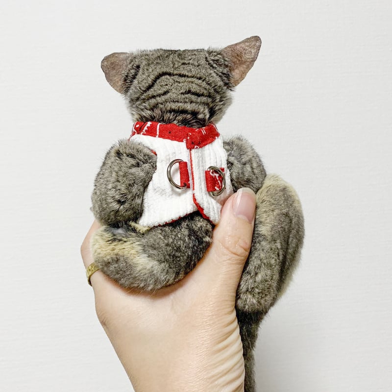 ショウガラゴ用】MILKY PIZZA／ペイズリー柄スタイハーネス／XXS