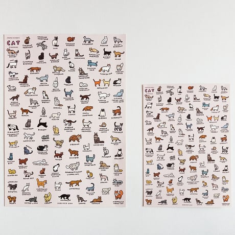 CAT 2 (A3) | Graphic Dictionary Poster