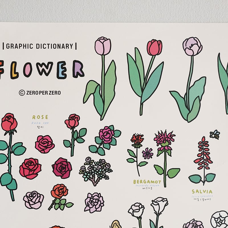 FLOWER (A2) | Graphic Dictionary Poster | ZERO