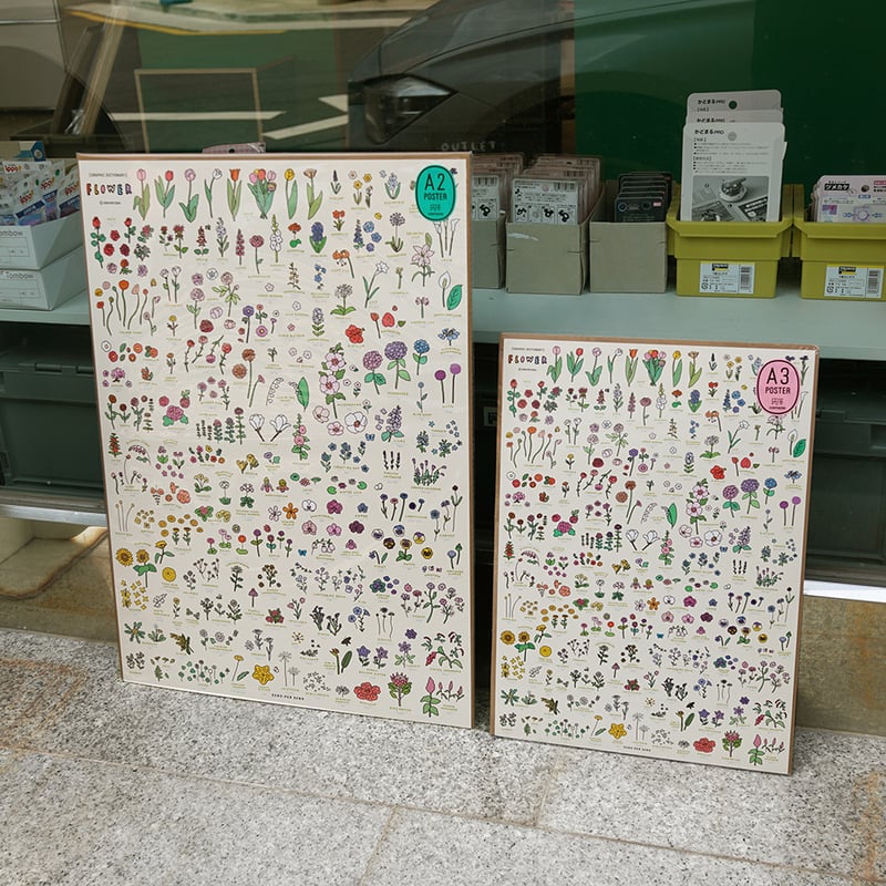 FLOWER (600 x 900) | Graphic Dictionary Poster