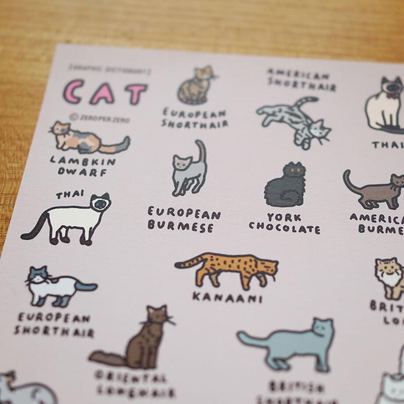 CAT 2 (A3) | Graphic Dictionary Poster | ZERO P