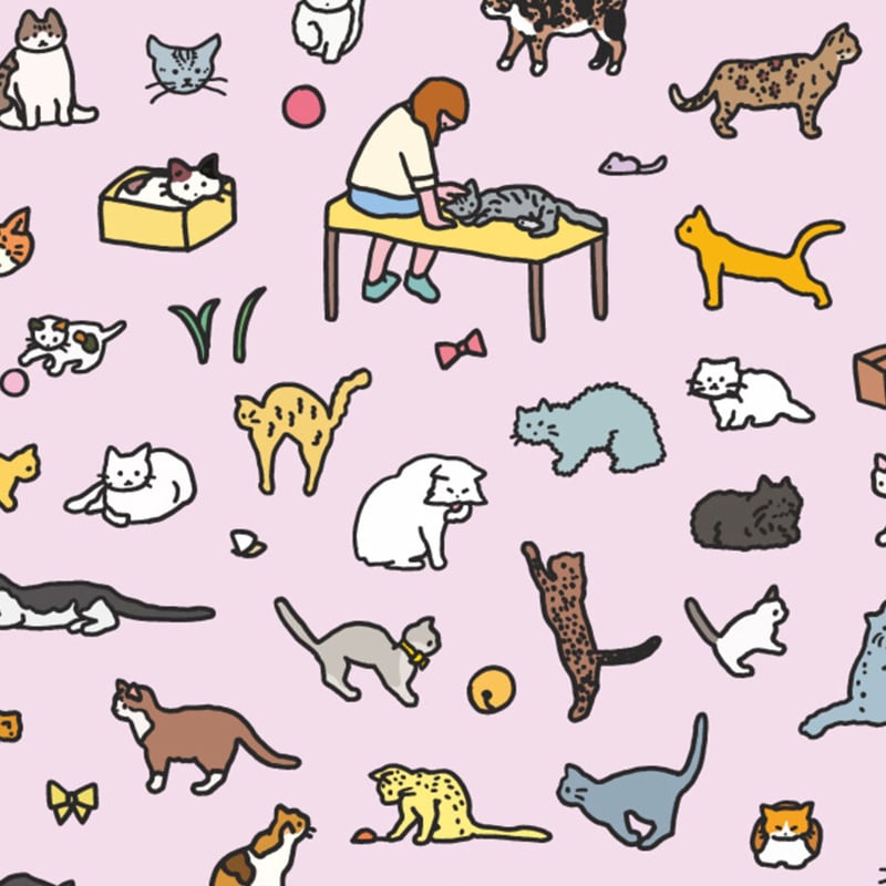 CAT (A2) | Graphic Dictionary Poster | ZERO PER