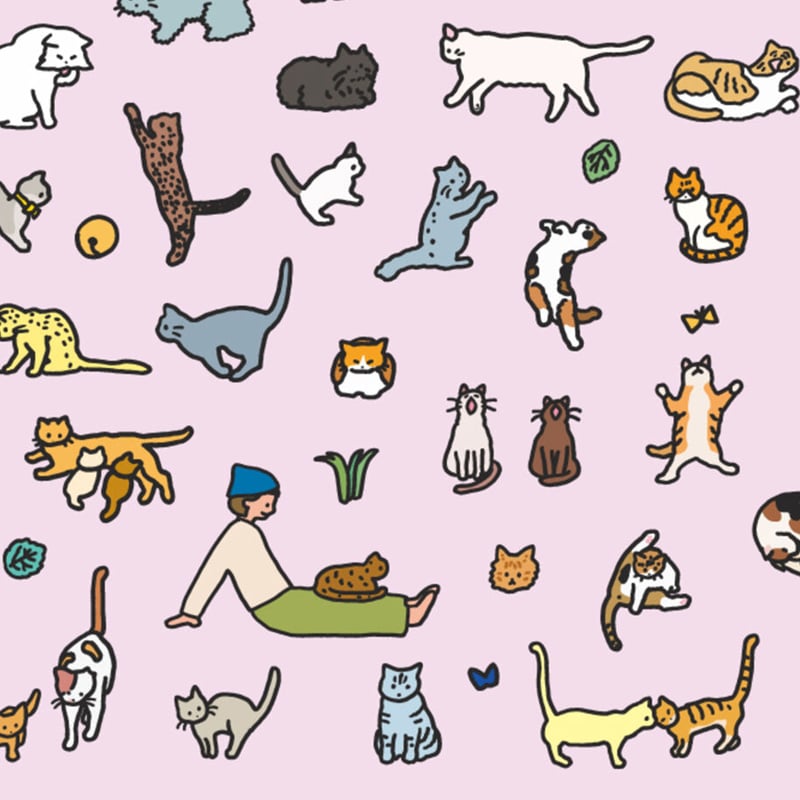 CAT (A2) | Graphic Dictionary Poster | ZERO PER