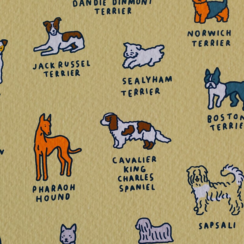 GRAPHIC DICTIONARY - DOG | Silkscreen poster（受注