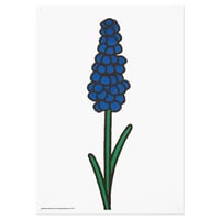 BLUEBELL | Miffy A3 RISO poster