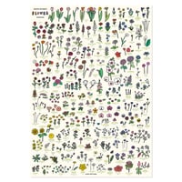 FLOWER (A3) | Graphic Dictionary Poster