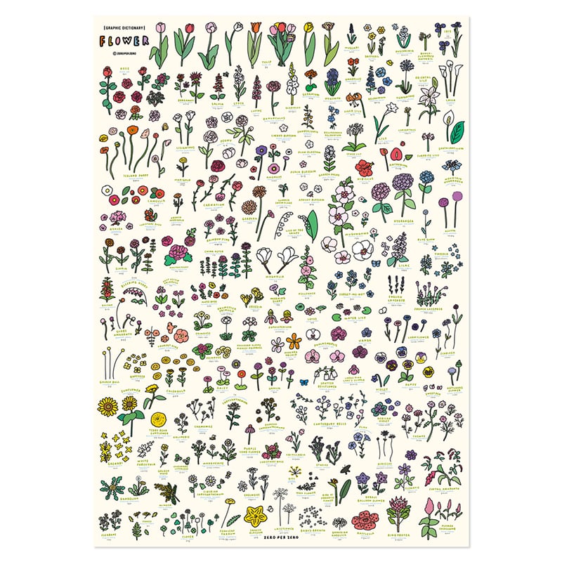 FLOWER (A2) | Graphic Dictionary Poster | ZERO