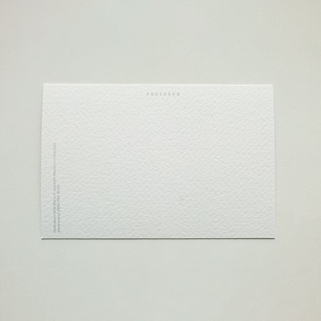 MIFFY | Miffy Postcard set (SILKSCREEN PRINT)