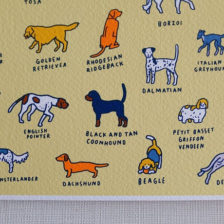 GRAPHIC DICTIONARY - DOG | Silkscreen poster（受注生産商品）