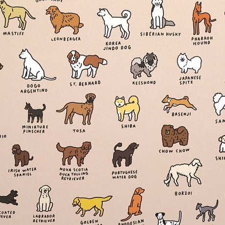 DOG BREEDS (600 x 900) | Graphic Dictionary Poster
