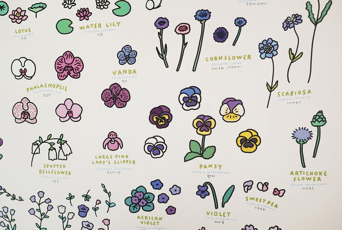 Flower ポスター 6枚セット FLOWER (600 x 900) | Graphic Dictionary Poster