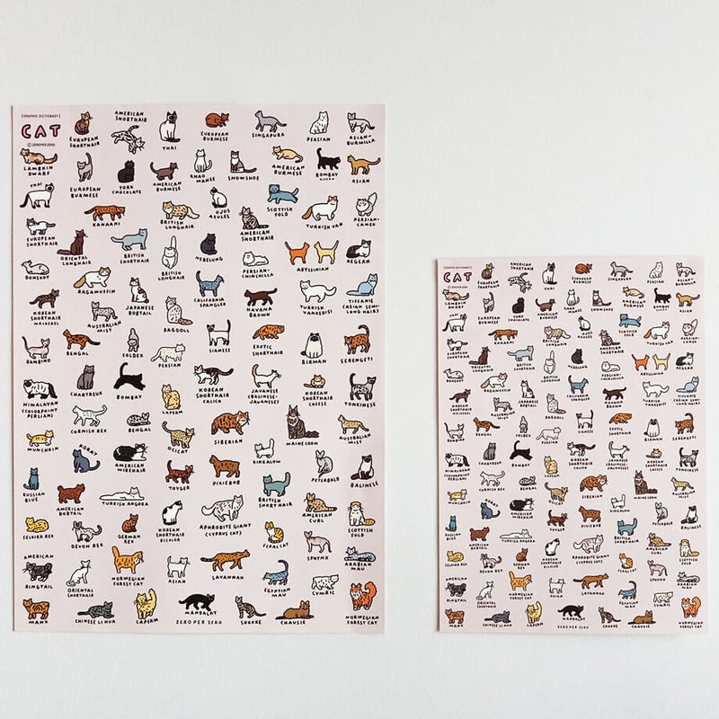 CAT 2 (A2) | Graphic Dictionary Poster | ZERO P